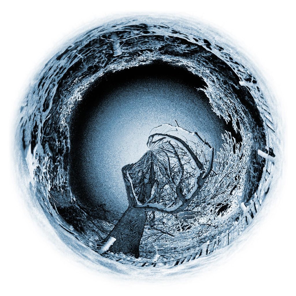 Blue Circle Tree Photo Art